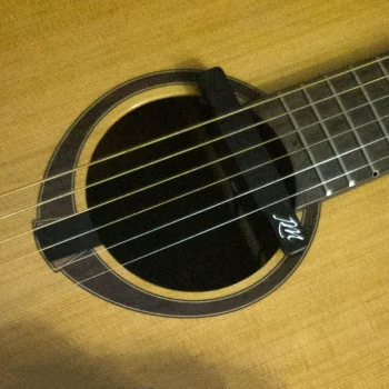 Acoustic Guitar DFP-System